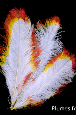 Autruche - 45-55 cm - blanc-jaune-rouge